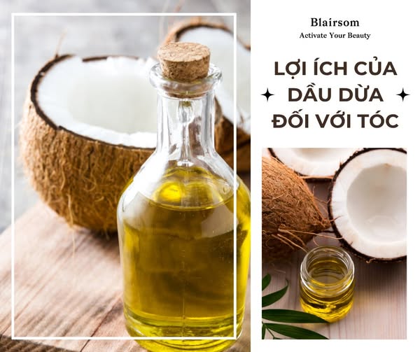 LỢI ÍCH CỦA DẦU DỪA ĐỐI VỚI TÓC
