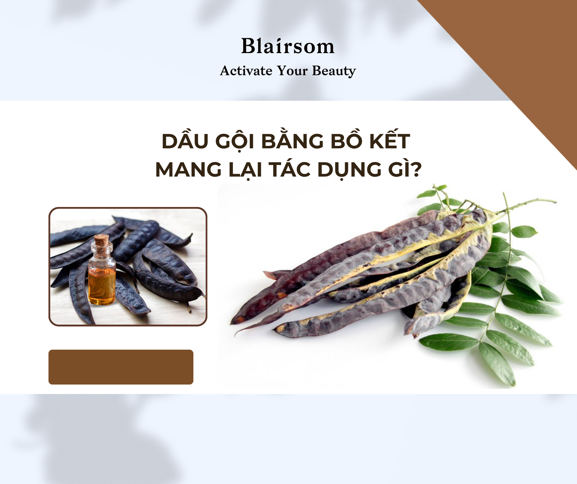 DẦU GỘI BẰNG BỒ KẾT MANG LẠI TÁC DỤNG GÌ?