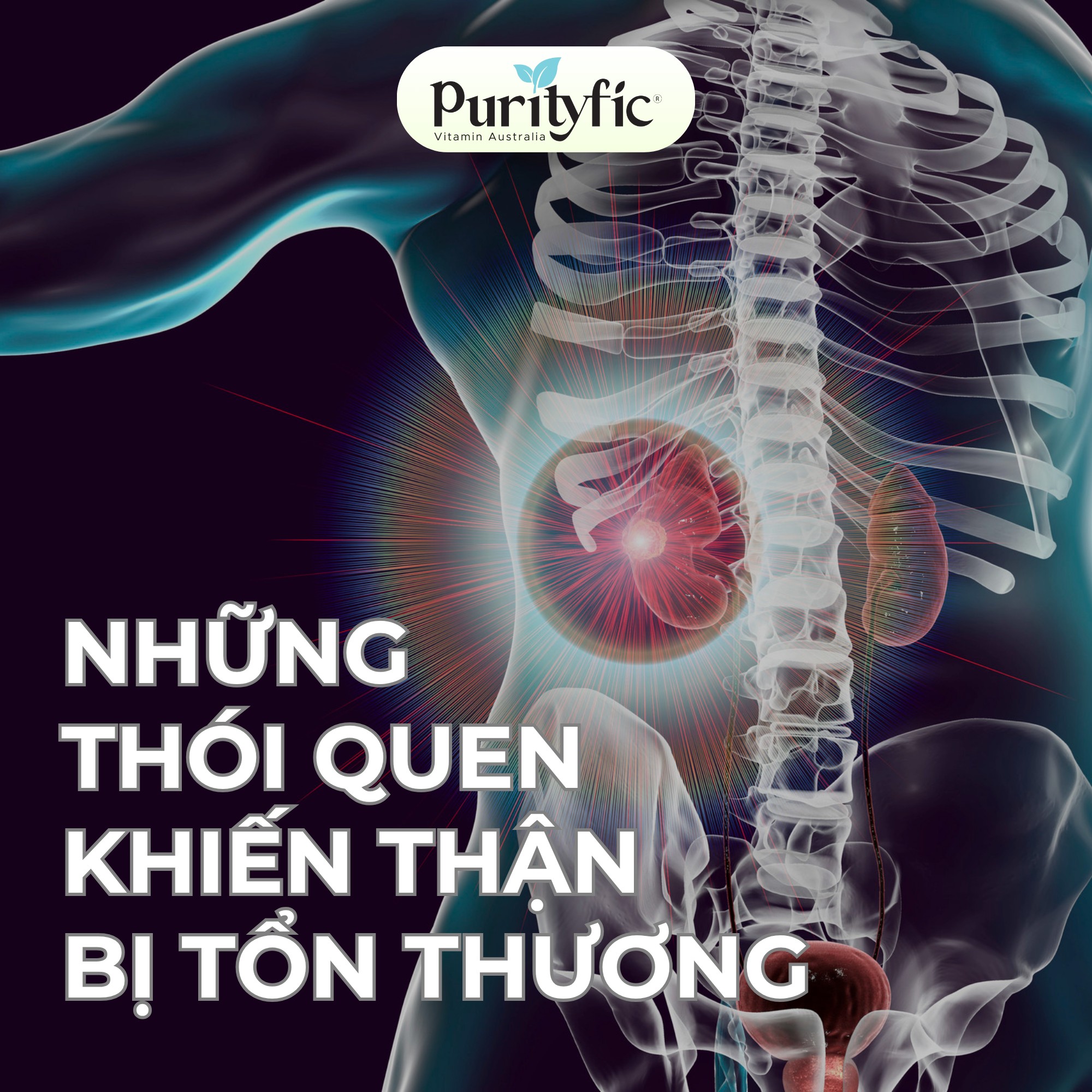 NHỮNG THÓI QUEN KHIẾN THẬN BỊ TỔN THƯƠNG