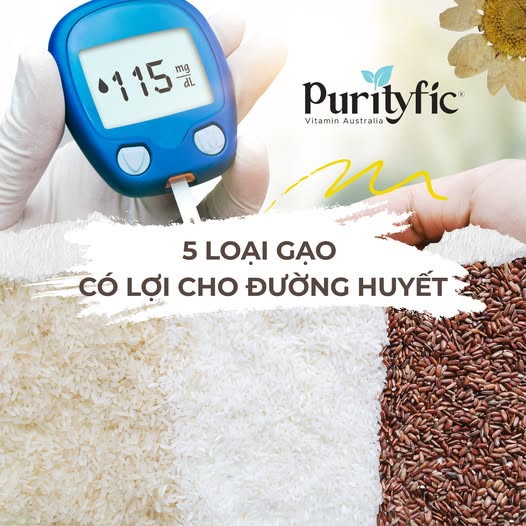 5 LOẠI GẠO CÓ LỢI CHO ĐƯỜNG HUYẾT